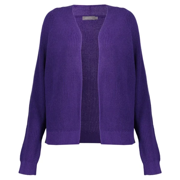 Vrouwen Geisha Fashion Geisha Dames Gebreid Basic Vest 34512-10 Dark Purple