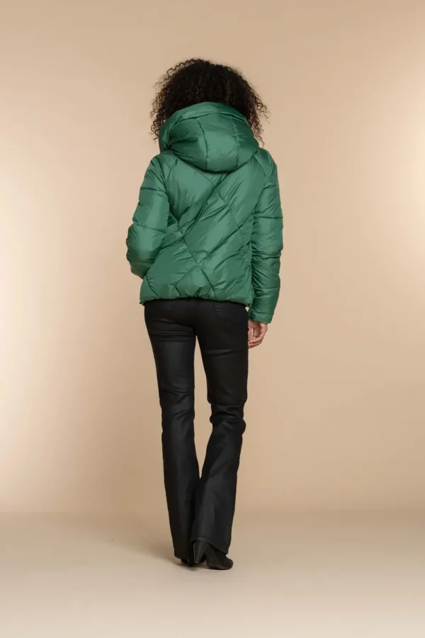 Vrouwen Geisha Fashion Geisha Dames Korte Puffer Jas 38565-21 Groen